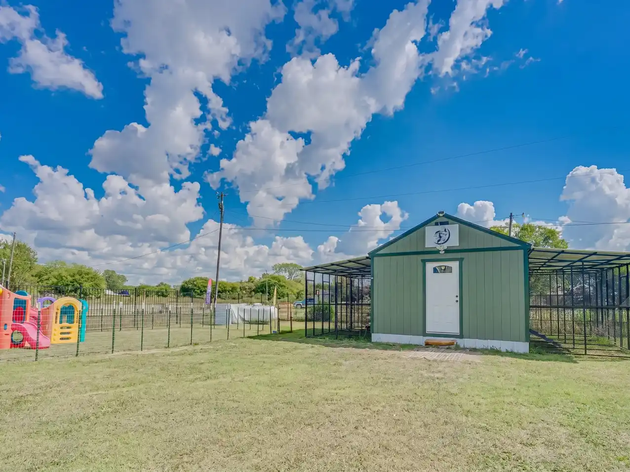 Dogs relaxing at Good Dog Lady's boarding facility