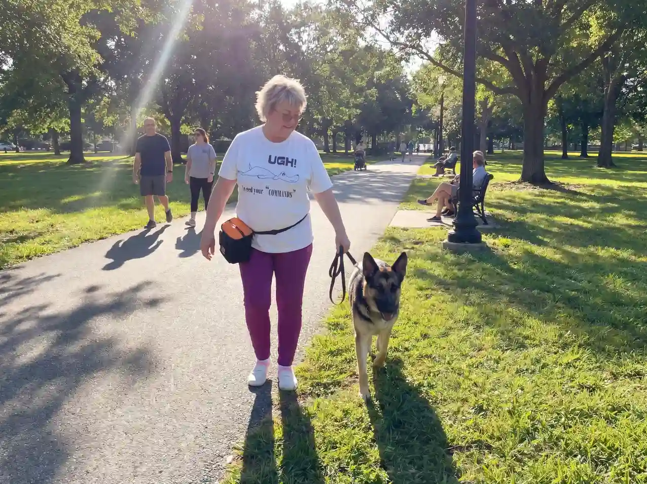 What Is Reactive Dog Training?