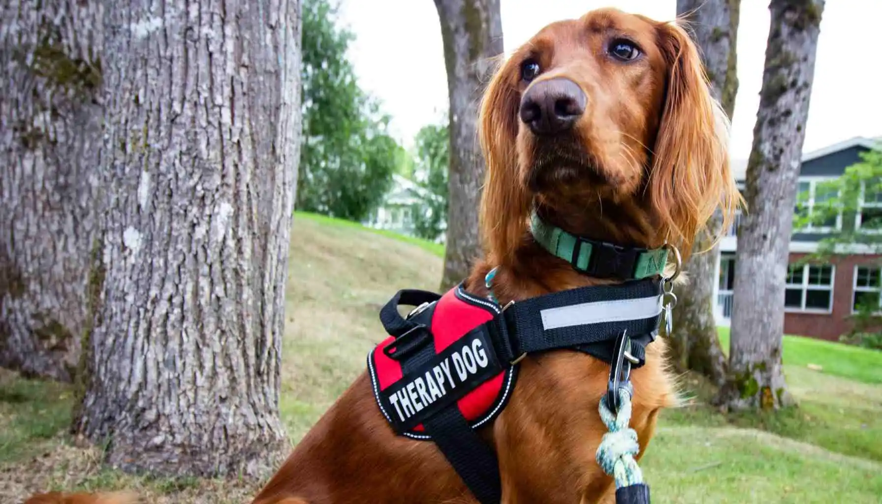 Why Choose Group Classes?