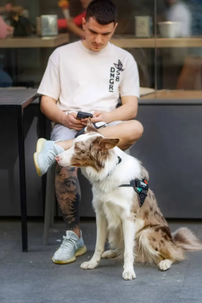 A dog and its owner sitting down at a café