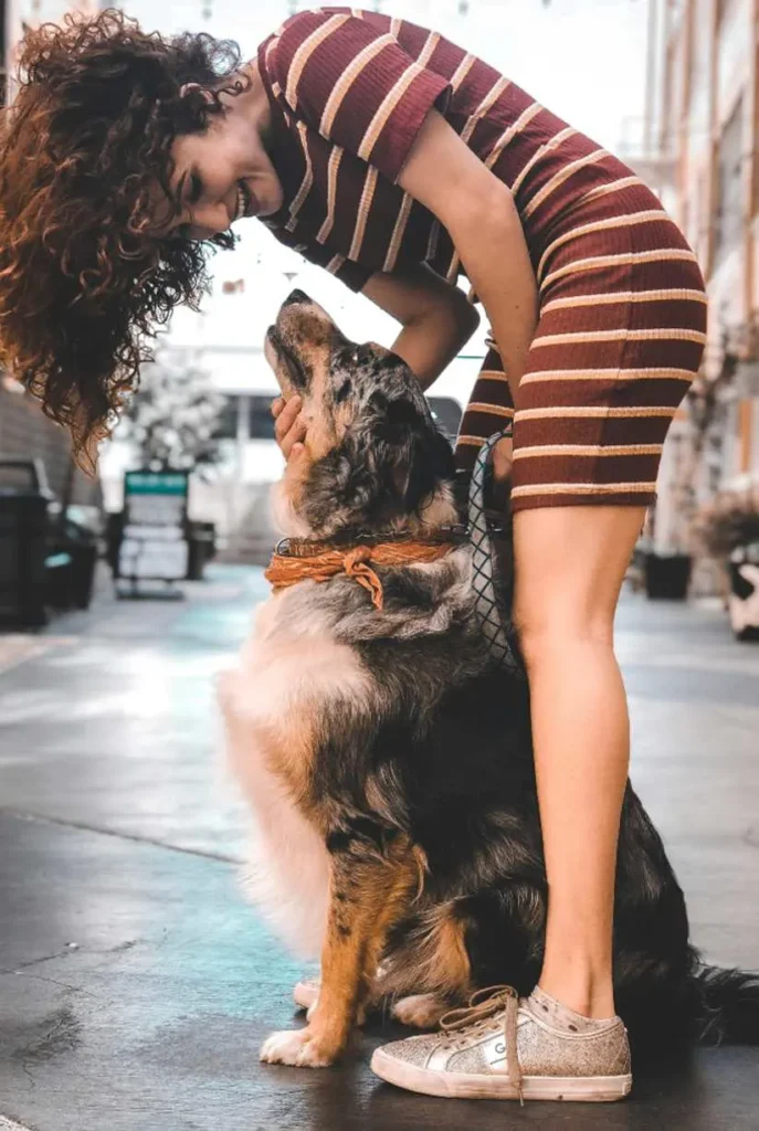 Dog comforting its owner while doing psychiatric Service Dog Training Frisco TX