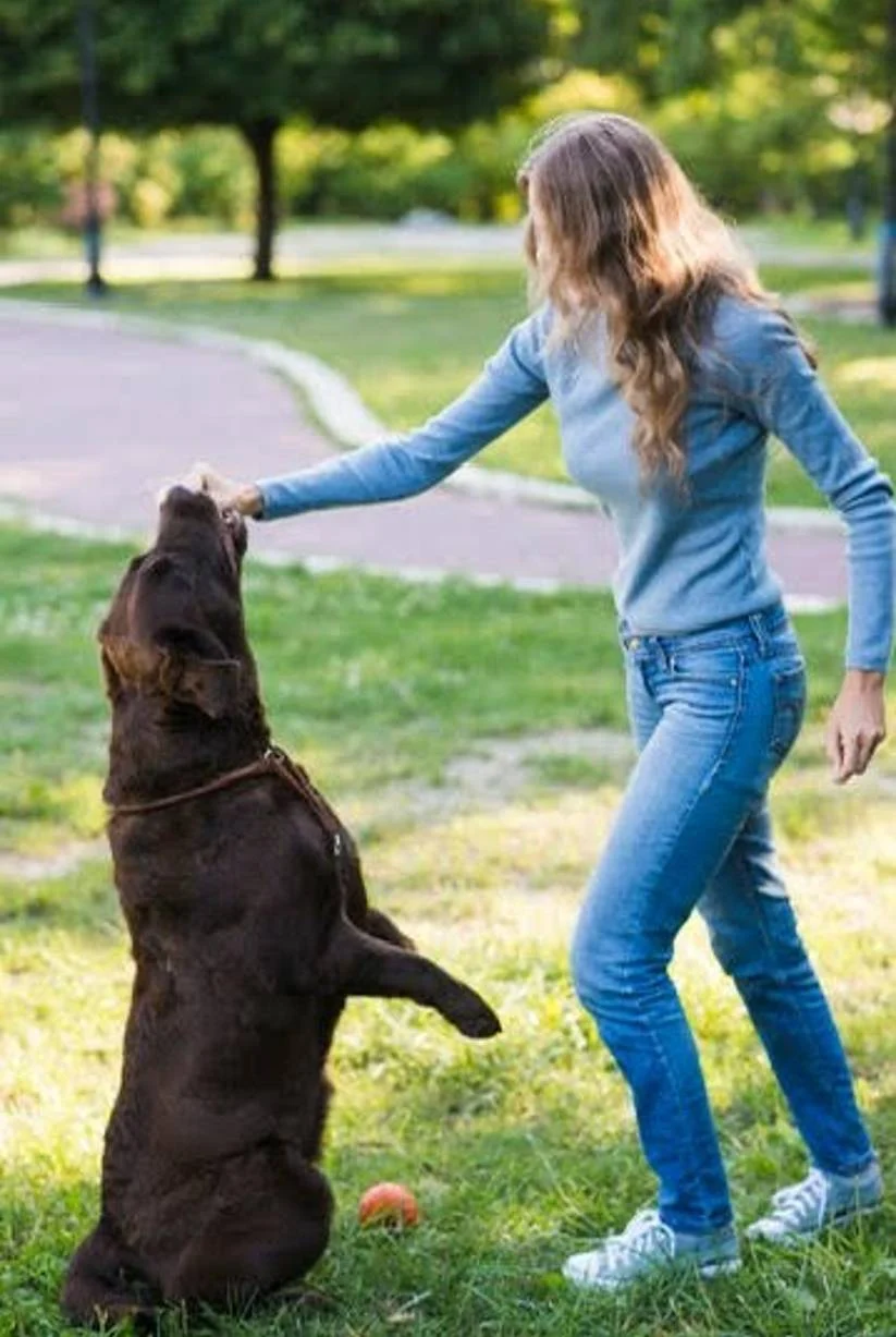 A happy dog owner playing with her dog in a park